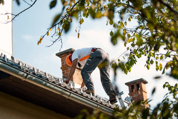 Best Roof Moss and Algae Removal  in Redwood Falls, MN