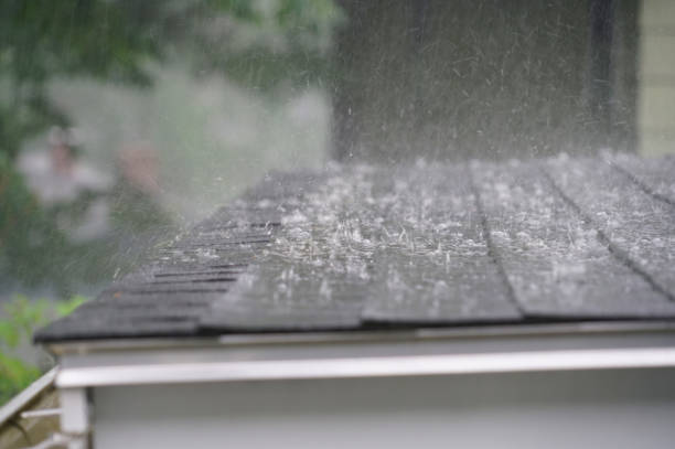 Best Sheet Metal Roofing  in Redwood Falls, MN