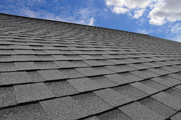 Best Roof Maintenance and Cleaning  in Redwood Falls, MN