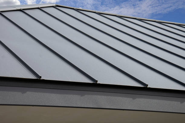 Best Flat Roofing  in Redwood Falls, MN